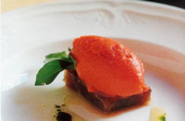 Sorbete de gazpacho con Geleé de manzana y atún de almadraba