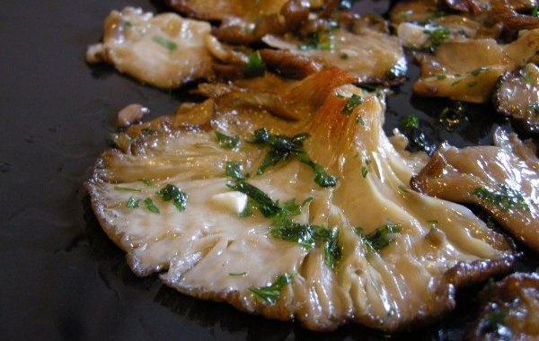 palacios-alimentacion.es