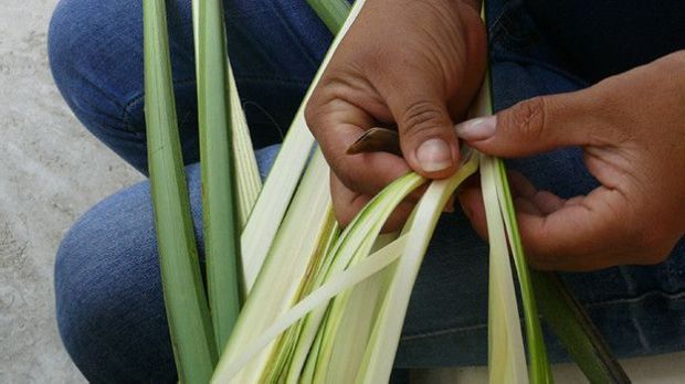 Para ella, es mucho mejor seleccionar la paja "porque el señor que las vende no las vende todas tiernitas, sino revueltas"- tiernas y jechas (las más maduras y más verdecitas).
